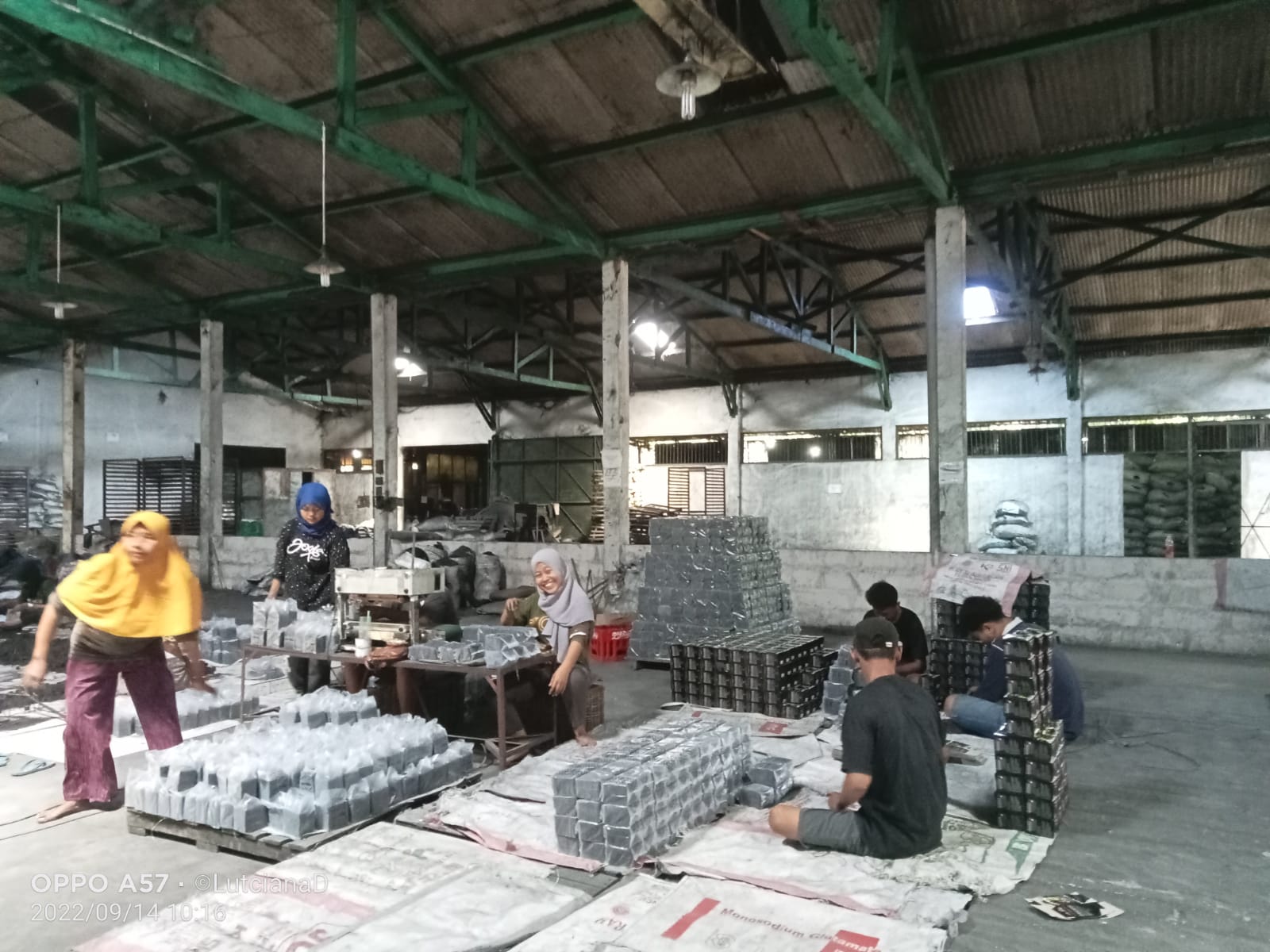 Packing Briquette