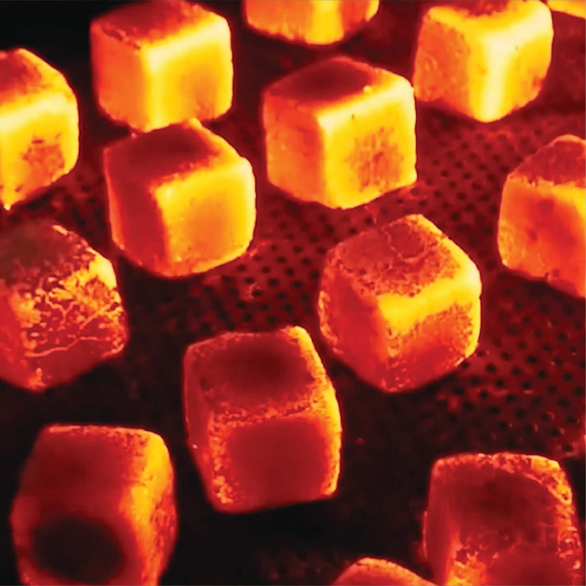 Briquette (2)