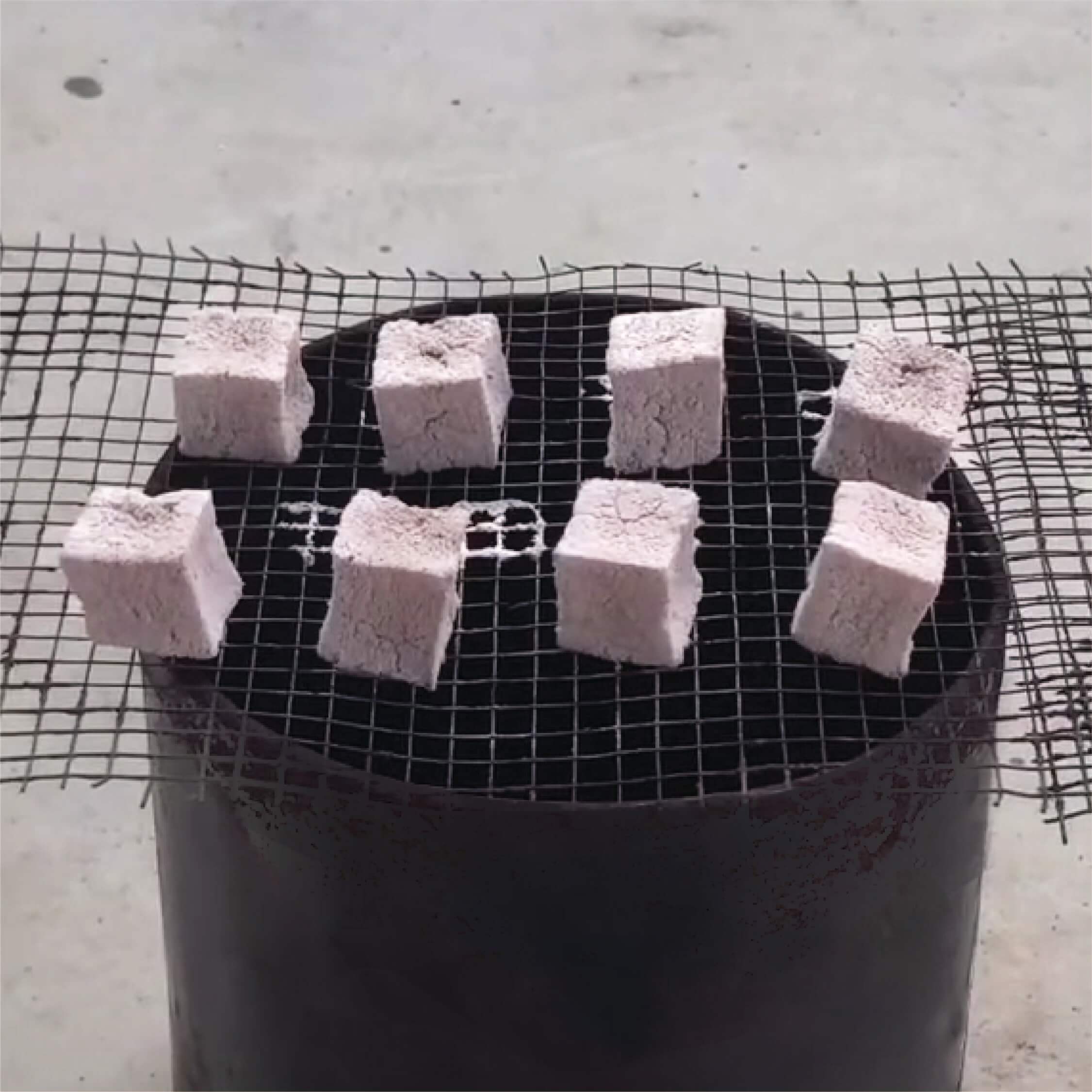 Briquette (4)